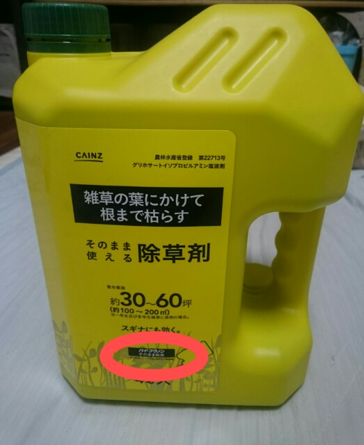 ハイ・フウノン