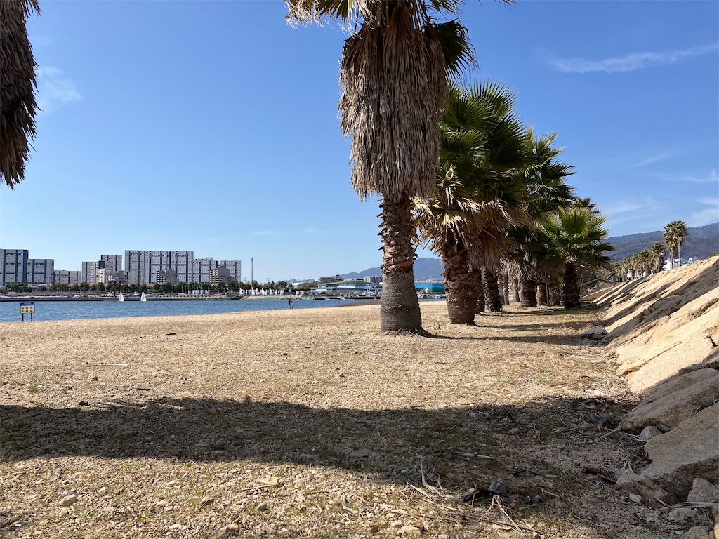 f:id:imasuguni:20230312081945j:image