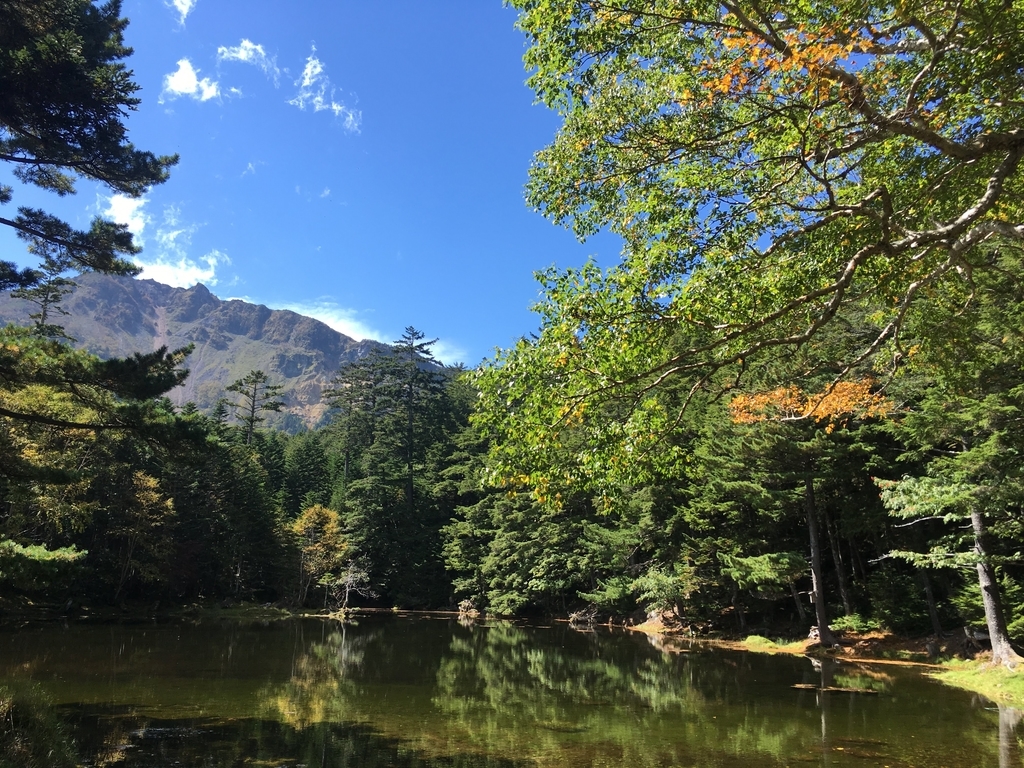 f:id:imatac:20180923121653j:plain f:id:imatac:20180923121653j:plain