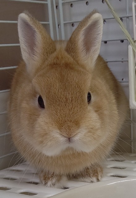 f:id:imatano:20210109230811j:image