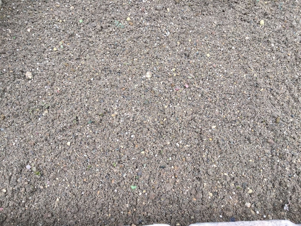 f:id:imaterasu:20200705145724j:plain