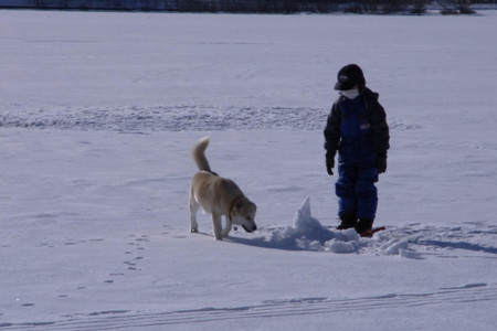 f:id:imawac:20100110120942j:image