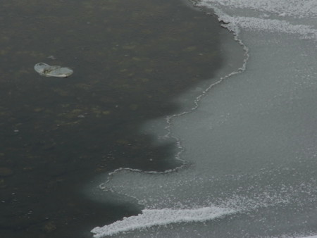 f:id:imawac:20100117115930j:image