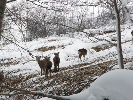 f:id:imawac:20100117122940j:image