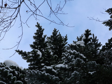 f:id:imawac:20100117125412j:image