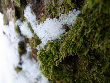f:id:imawac:20100117125923j:image