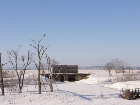 f:id:imawac:20100124141115j:image