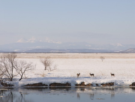 f:id:imawac:20100124142551j:image