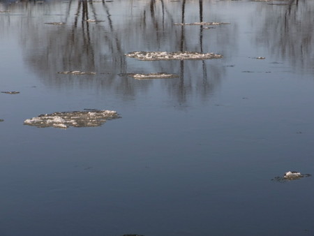 f:id:imawac:20100124144041j:image