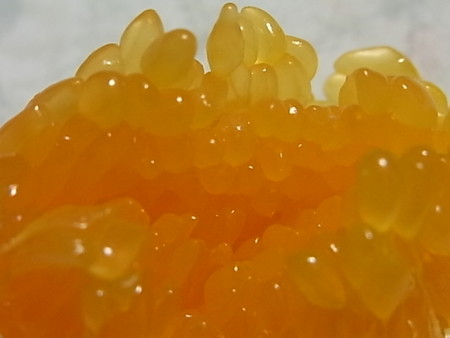 f:id:imawac:20110206170222j:image