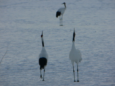 f:id:imawac:20110211153352j:image