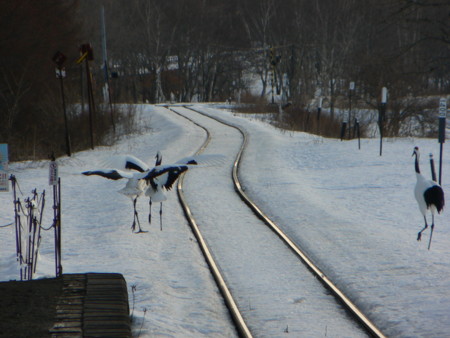 f:id:imawac:20110211153840j:image