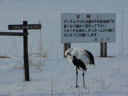 f:id:imawac:20110211154124j:image