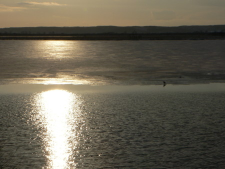 f:id:imawac:20110211155201j:image
