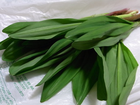 f:id:imawac:20110510191826j:image