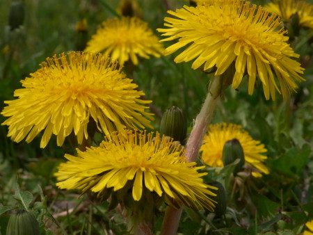f:id:imawac:20110526123251j:image