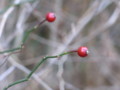 f:id:imawac:20120103103554j:image:medium