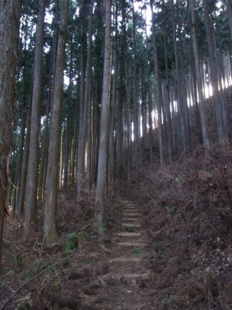 f:id:imawac:20120103103903j:image:w240