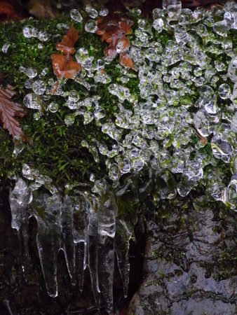 f:id:imawac:20120103144245j:image:w240