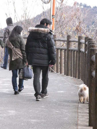 f:id:imawac:20120103160036j:image:w240