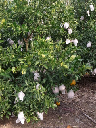 f:id:imawac:20120107145627j:image:w240
