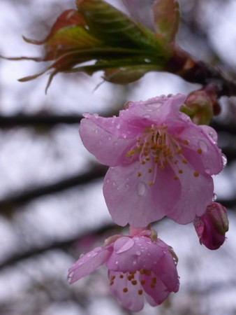 f:id:imawac:20120318152754j:image:w360