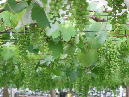f:id:imawac:20120629155930j:image:w360