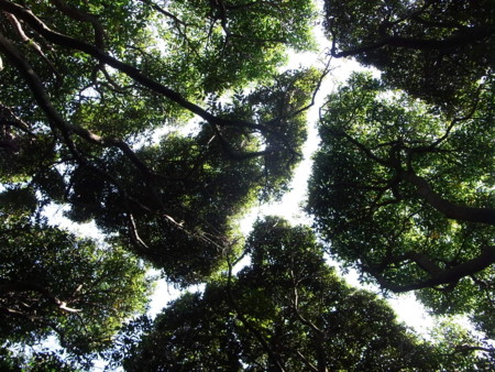 f:id:imawac:20120830085454j:image:w280 f:id:imawac:20120830085454j:image:w280