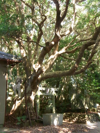 f:id:imawac:20120830085540j:image:w280 f:id:imawac:20120830085540j:image:w280