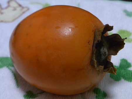 f:id:imawac:20130124170324j:image:w300