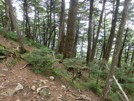 f:id:imawac:20130804133302j:image:w320