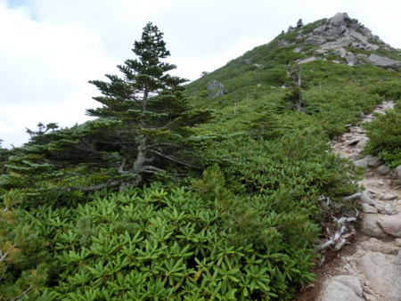 f:id:imawac:20130804143907j:image:w320