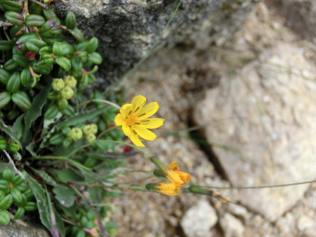 f:id:imawac:20130804150128j:image:w240