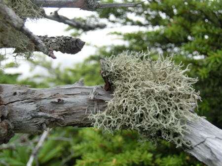 f:id:imawac:20130804154337j:image:w360