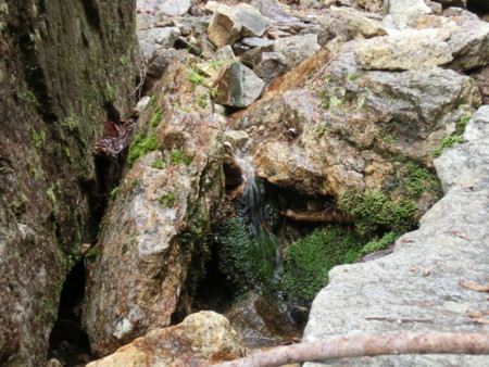 f:id:imawac:20130805064140j:image:w360