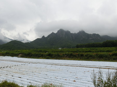 f:id:imawac:20130805090734j:image:w360
