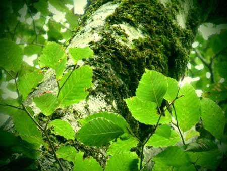 f:id:imawac:20131004110128j:image:w360