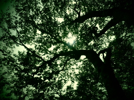 f:id:imawac:20131004110415j:image:w360