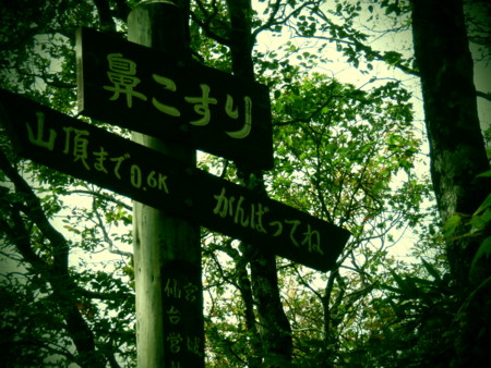f:id:imawac:20131004110627j:image:w360