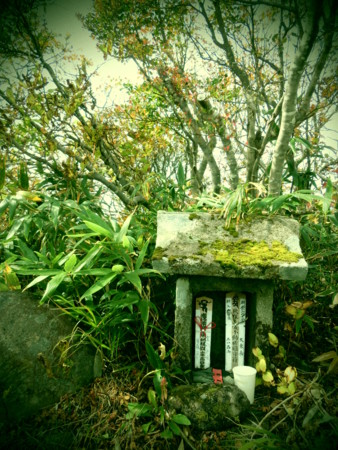 f:id:imawac:20131004115522j:image:w270