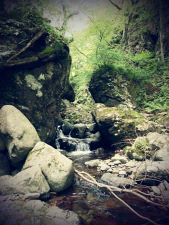 f:id:imawac:20131004150541j:image:w270