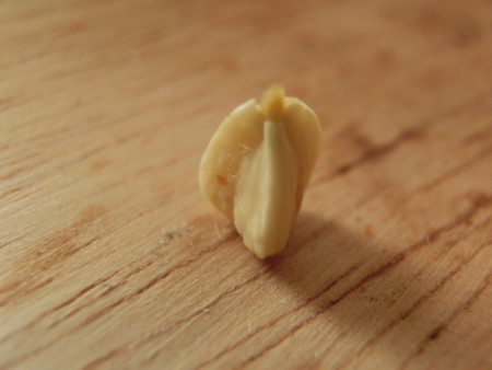 f:id:imawac:20131012150739j:image:w360