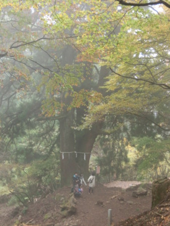 f:id:imawac:20131109144019j:image:w270