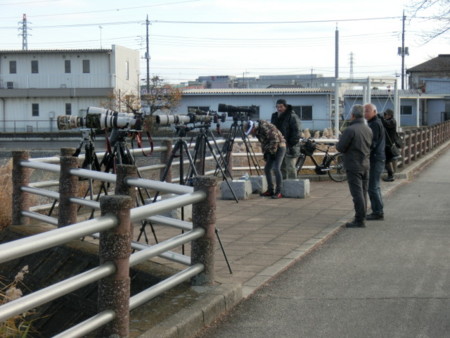 f:id:imawac:20131208144200j:image:w360