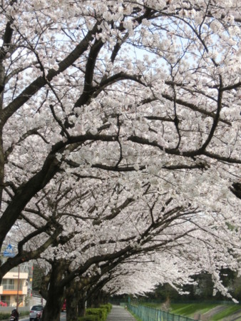 f:id:imawac:20140402123927j:image:w270