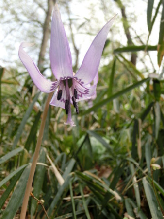 f:id:imawac:20140402131003j:image:w270