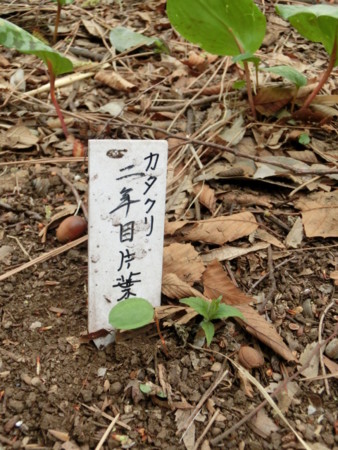 f:id:imawac:20140402150257j:image:w270
