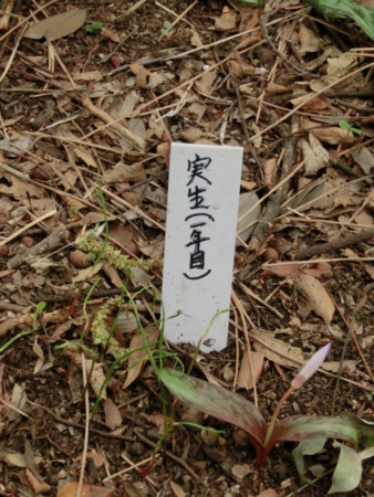 f:id:imawac:20140402150426j:image:w270