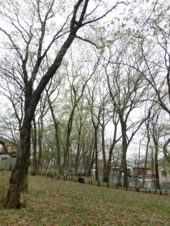 f:id:imawac:20140402152140j:image:w270