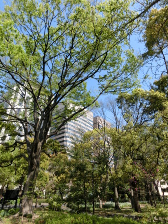 f:id:imawac:20140411094640j:image:w270